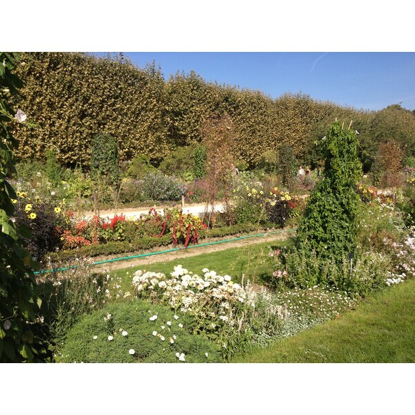 รูปถ่าย ฝรั่งเศส(France) ปารีส(Paris) สวนพันธ์ุพืช(Jardin des Plantes) 2014-09 19