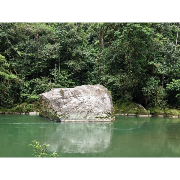 รูปถ่าย คอสตาริกา(Costa Rica) แม่น้ำปากัวเร(Pacuare River) 2015-03 209