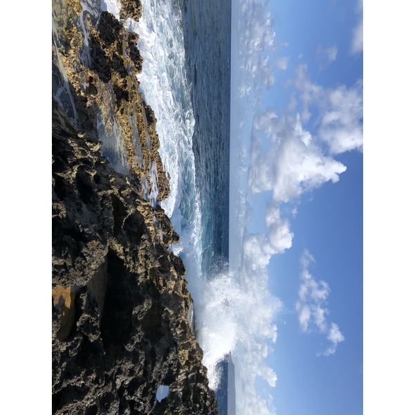 รูปถ่าย กวาเดอลูป(Guadeloupe) แหลมคาสเซิลพอยต์(Castle Point) 2021-02 202
