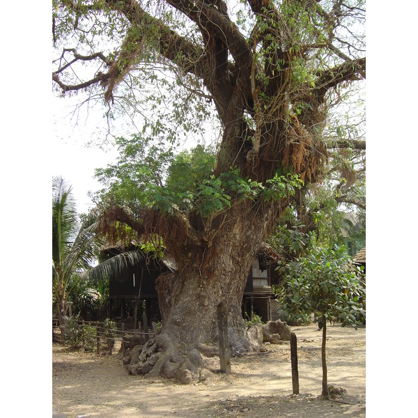 รูปถ่าย พม่า(Myanmar) ทวาย(Dawei (TAVOY)) 2005-01 157