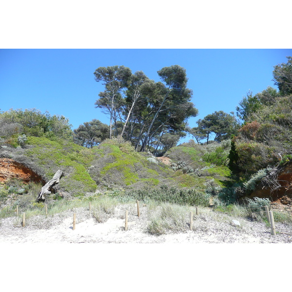 รูปถ่าย ฝรั่งเศส(France) เกาะปอร์เกอรอล(Porquerolles Island) หาดเลอแก็ง(Lequin beach) 2008-05 6