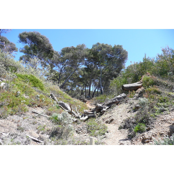 รูปถ่าย ฝรั่งเศส(France) เกาะปอร์เกอรอล(Porquerolles Island) หาดเลอแก็ง(Lequin beach) 2008-05 8