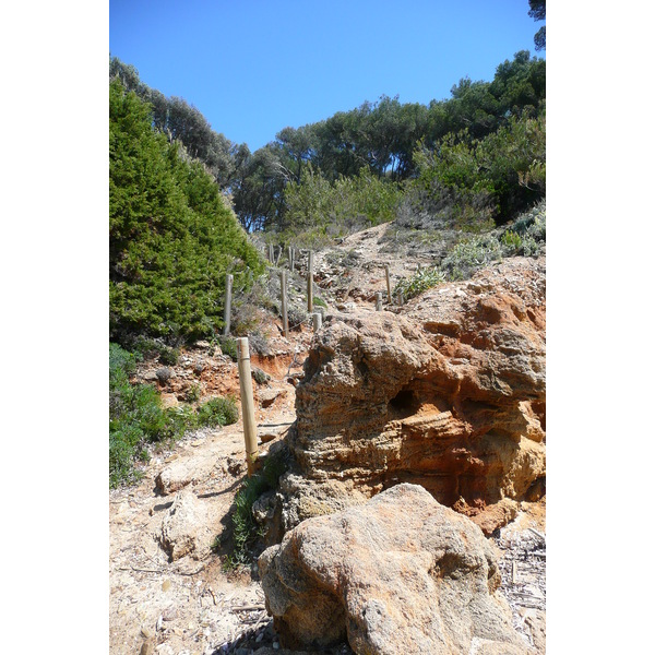 รูปถ่าย ฝรั่งเศส(France) เกาะปอร์เกอรอล(Porquerolles Island) หาดเลอแก็ง(Lequin beach) 2008-05 9