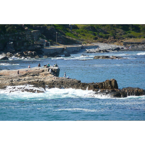 รูปถ่าย แอฟริกาใต้(South Africa) เฮอร์มานัส(Harmanus) 2008-09 264