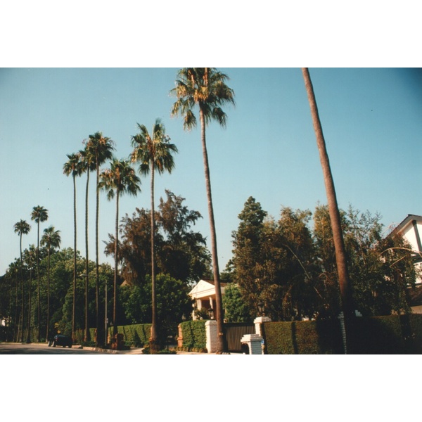 รูปถ่าย สหรัฐอเมริกา(United States) เบเวอร์ลีฮิลส์(Beverly Hills) 1992-08 10