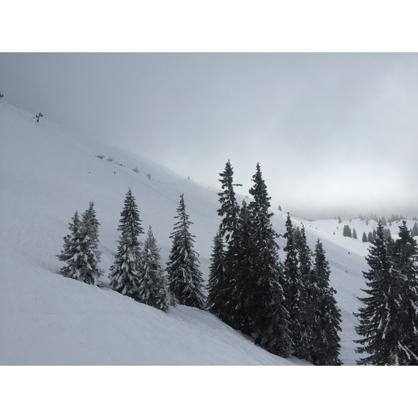 รูปถ่าย ฝรั่งเศส(France) เมแฌฟว์(Megeve) 2016-02 55