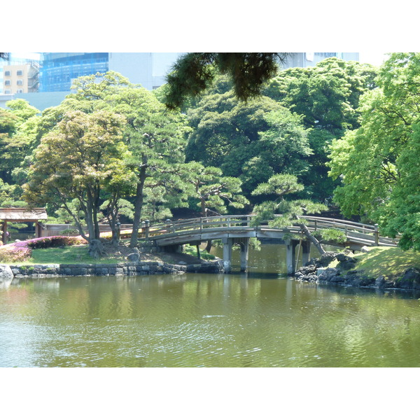 รูปถ่าย ญี่ปุ่น(Japan) โตเกียว(Tokyo) สวนฮามะริคิว(Hama rikyu Gardens) 2010-06 101
