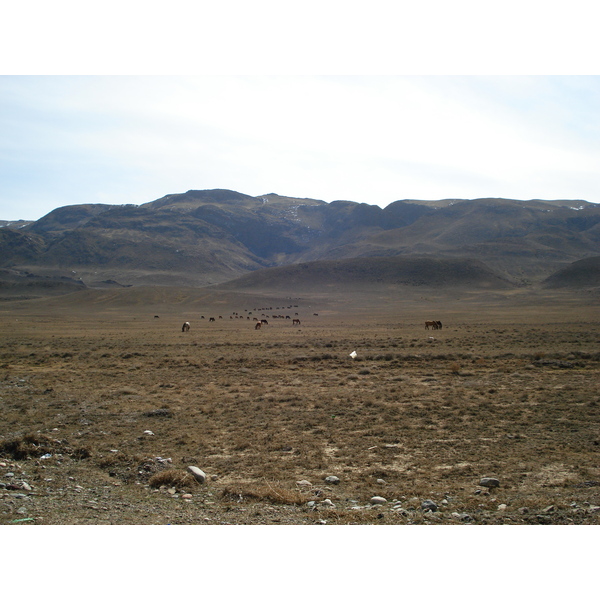 รูปถ่าย คาซัคสถาน(Kazakhstan) ถนนจากอัลมาตีไปหุบผาชารึน(Almaty to Charyn Canyon road) 2007-03 73