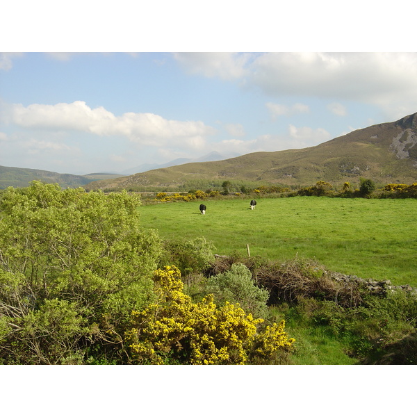 รูปถ่าย ไอร์แลนด์(Ireland) เคอร์รี่(Kerry) ทะเลสาบคารา(Caragh Lake) 2004-05 12