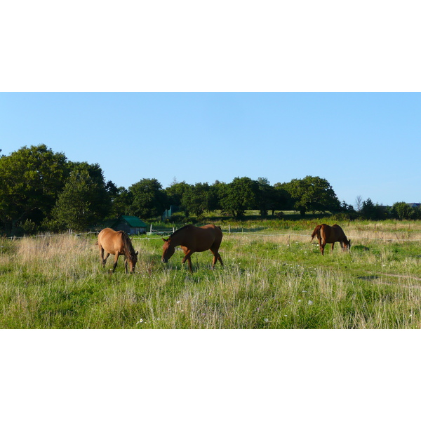 รูปถ่าย ฝรั่งเศส(France) เกรองเดอ(Guerande) 2007-08 15