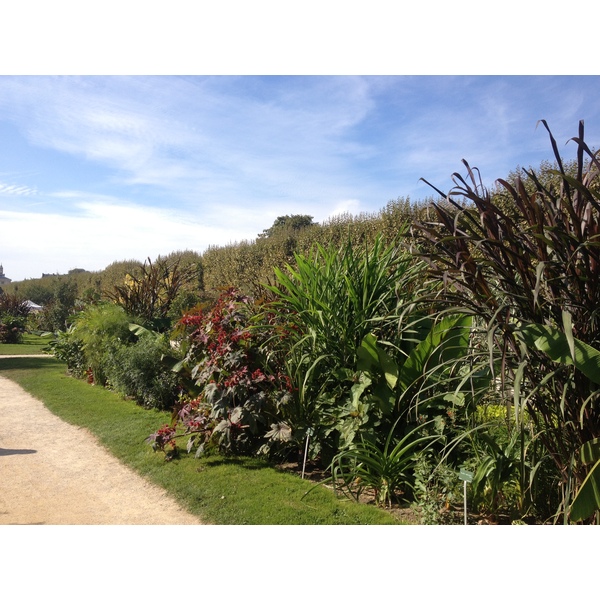 รูปถ่าย ฝรั่งเศส(France) ปารีส(Paris) สวนพันธ์ุพืช(Jardin des Plantes) 2014-09 24