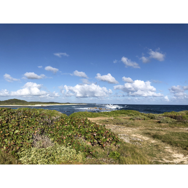 รูปถ่าย กวาเดอลูป(Guadeloupe) แหลมคาสเซิลพอยต์(Castle Point) 2021-02 157