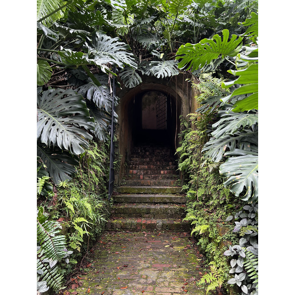 รูปถ่าย สิงคโปร์(Singapore) สวนฟอร์ตแคนนิง(Fort Canning Park) 2023-01 2