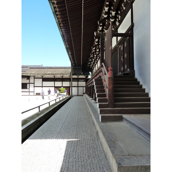 รูปถ่าย ญี่ปุ่น(Japan) เกียวโต(Kyoto) พระราชวังหลวงเกียวโต(Kyoto Imperial Palace) 2010-06 117