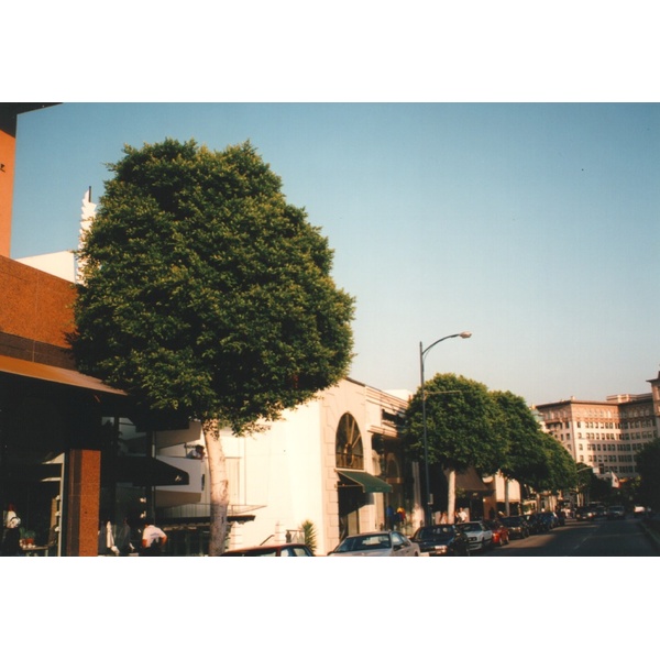 รูปถ่าย สหรัฐอเมริกา(United States) เบเวอร์ลีฮิลส์(Beverly Hills) 1992-08 2