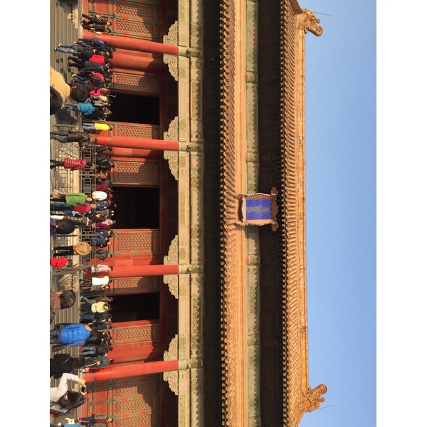 รูปถ่าย จีน(China) ปักกิ่ง(Beijing) พระราชวังต้องห้าม(Forbidden City) 2015-12 148