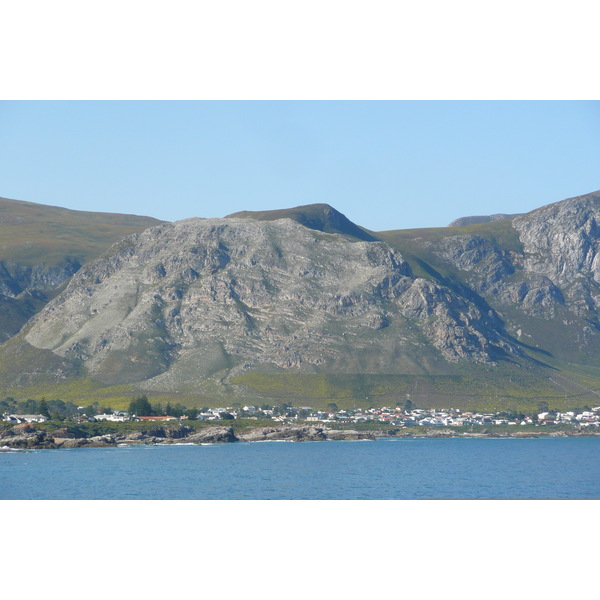 รูปถ่าย แอฟริกาใต้(South Africa) เฮอร์มานัส(Harmanus) 2008-09 67