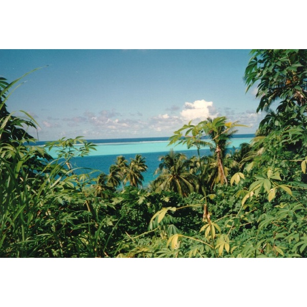 รูปถ่าย เฟรนช์โพลี่นีเซีย(Polynesia) 1993-04 82