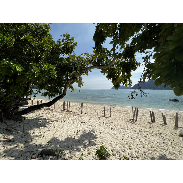 รูปถ่าย ไทย(Thailand) เกาะพีพีดอน(Ko Phi Phi Don) 2021-12 130