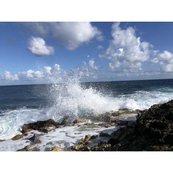 รูปถ่าย กวาเดอลูป(Guadeloupe) แหลมคาสเซิลพอยต์(Castle Point) 2021-02 98