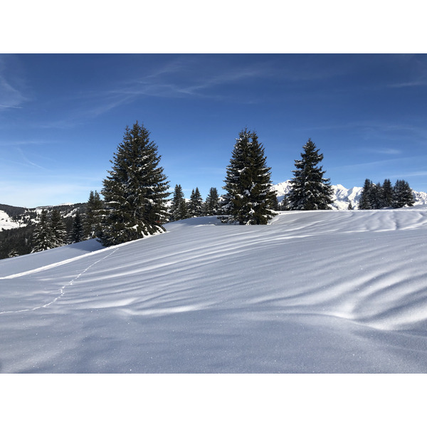 รูปถ่าย ฝรั่งเศส(France) ปรา-ซูร์-อาร์ลี(Praz sur Arly) 2019-12 112