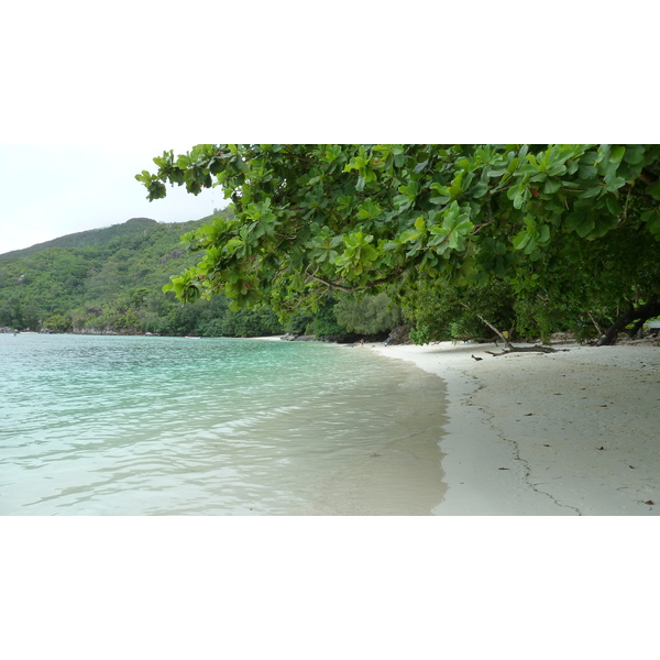 รูปถ่าย เซเชลส์(Seychelles) เกาะมาเฮ(Mahe) 2011-10 2