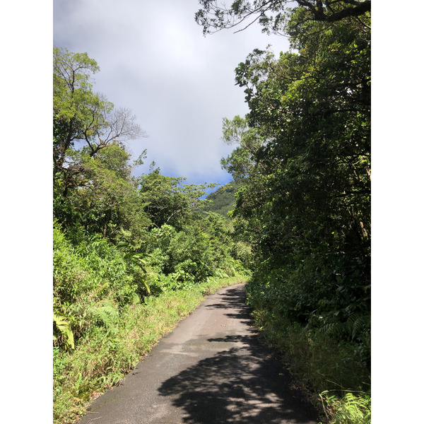 รูปถ่าย กวาเดอลูป(Guadeloupe) ภูเขาไฟลากร็องด์ซูฟรีแยร์(La Grande Soufriere) 2021-02 72