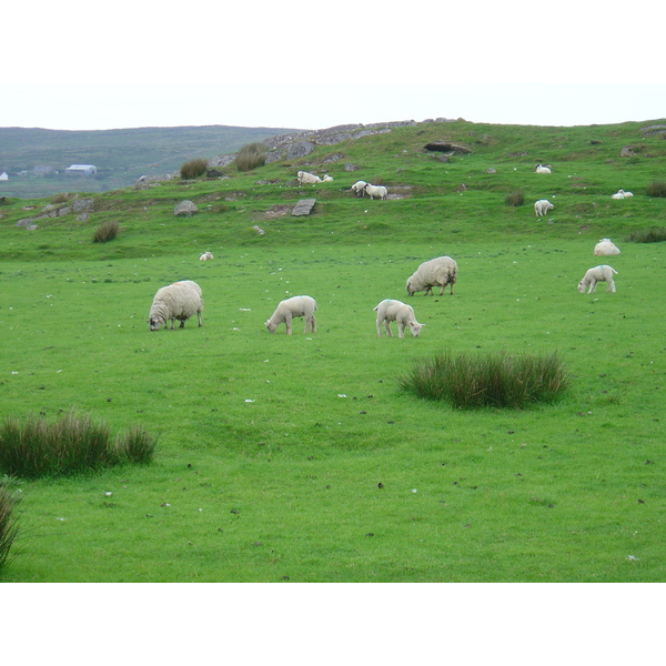 รูปถ่าย ไอร์แลนด์(Ireland) เคอร์รี่(Kerry) เคลส์(Kells) 2004-05 4
