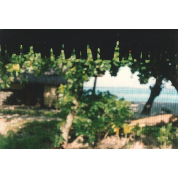 รูปถ่าย เฟรนช์โพลี่นีเซีย(Polynesia) 1993-04 56