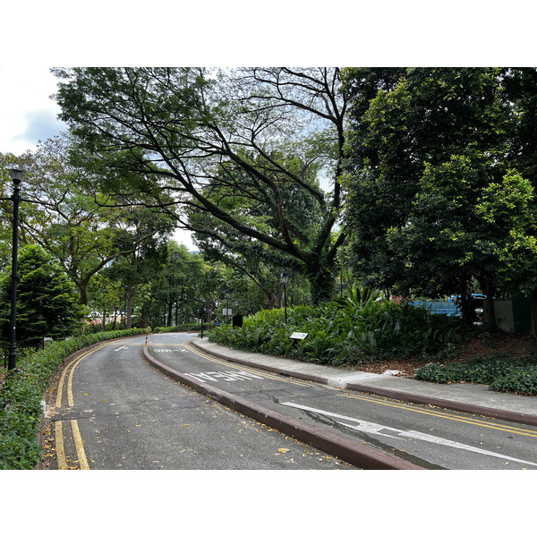 รูปถ่าย สิงคโปร์(Singapore) สวนฟอร์ตแคนนิง(Fort Canning Park) 2023-01 14