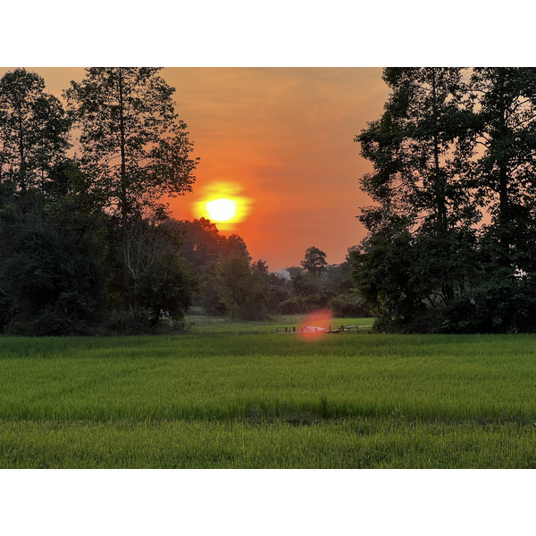 รูปถ่าย กัมพูชา(Cambodia) เสียมราฐ(Siem Reap) 2023-01 47