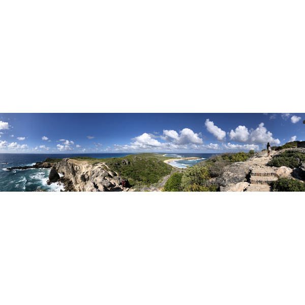 รูปถ่าย กวาเดอลูป(Guadeloupe) แหลมคาสเซิลพอยต์(Castle Point) 2021-02 285