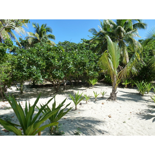 รูปถ่าย ฟิจิ(Fiji) 2010-05 1