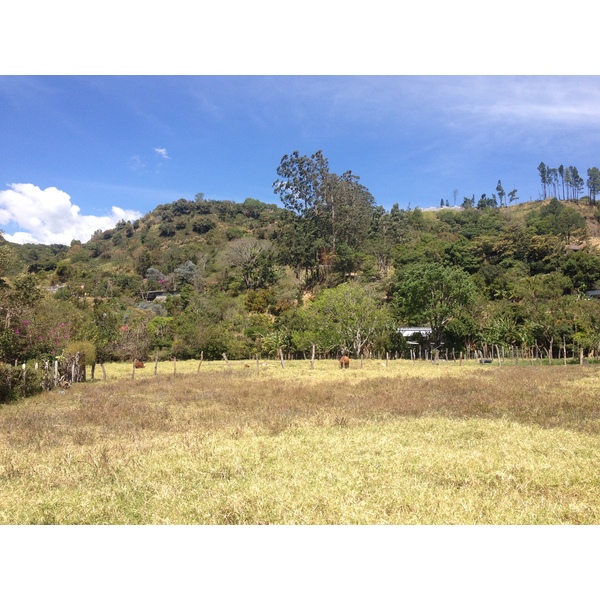 รูปถ่าย ปานามา(Panama) โบเกเต(Boquete) 2015-03 16