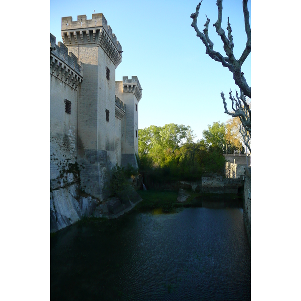 รูปถ่าย ฝรั่งเศส(France) ตาราสกง(Tarascon) ปราสาทตาราสกง(Tarascon Castle) 2008-04 95