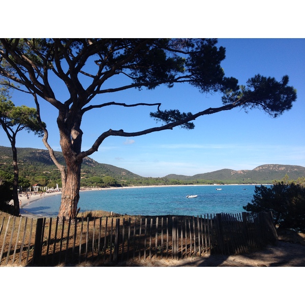 รูปถ่าย ฝรั่งเศส(France) คอร์สิคา(Corsica) ปาลอมบัจจา(Palombaggia) 2012-09 36