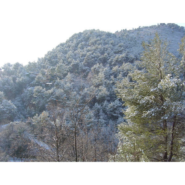 รูปถ่าย ฝรั่งเศส(France) วังซ์(Vence) 2005-02 7