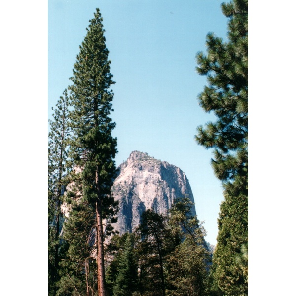 รูปถ่าย สหรัฐอเมริกา(United States) อุทยานแห่งชาติโยเซมิที(Yosemite National Park) 1992-08 2