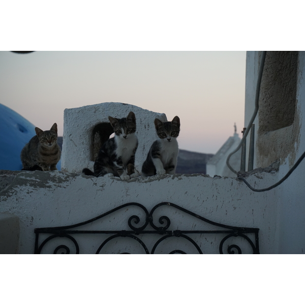 รูปถ่าย กรีก(Greece) ซานโตรินี(Santorini) บ้านถ้ำโอยา(Oia cave house) 2016-07 19