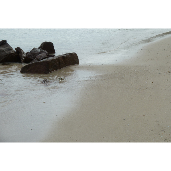 รูปถ่าย เซเชลส์(Seychelles) อ่าวอ็องส์ปอสเซสซียง(Anse Possession) 2011-10 53