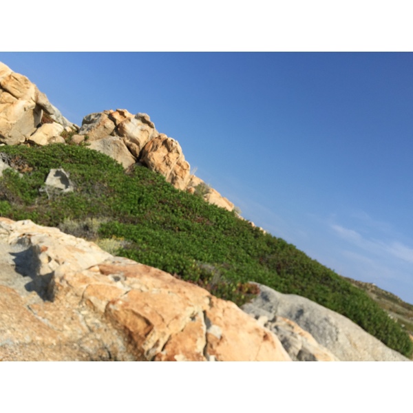 รูปถ่าย ฝรั่งเศส(France) คอร์สิคา(Corsica) แหลมปุนตาสปาโน(Punta Spano) 2015-05 24
