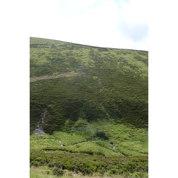 รูปถ่าย อังกฤษ(United Kingdom) อุทยานแห่งชาติแคร์นกอร์มส์(Cairngorms National Park) 2011-07 131