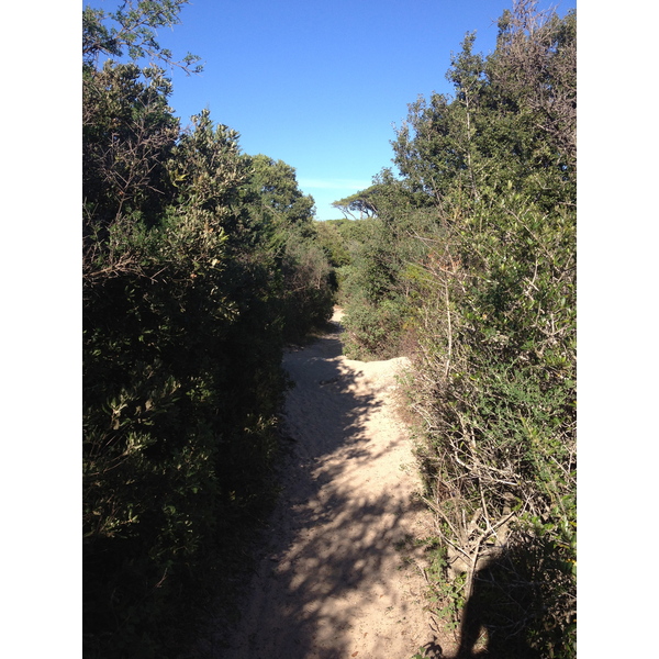 รูปถ่าย ฝรั่งเศส(France) คอร์สิคา(Corsica) ปาลอมบัจจา(Palombaggia) 2012-09 53