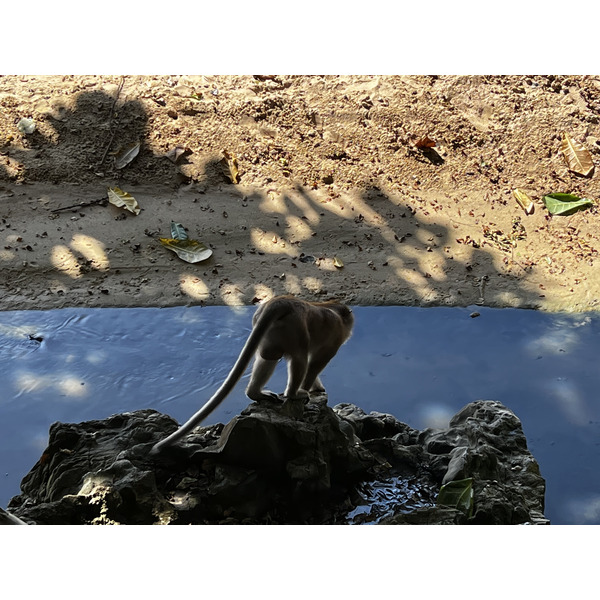 รูปถ่าย ไทย(Thailand) กระบี่(Krabi) อ่าวนาง(Ao Nang) 2023-01 47