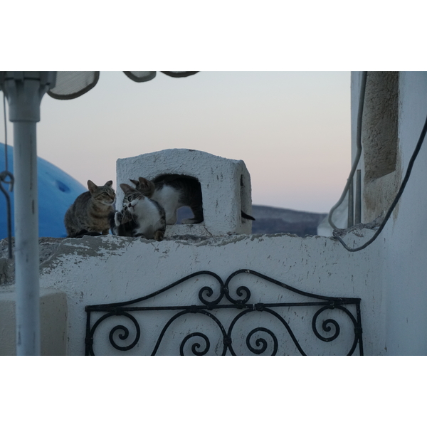 รูปถ่าย กรีก(Greece) ซานโตรินี(Santorini) บ้านถ้ำโอยา(Oia cave house) 2016-07 24