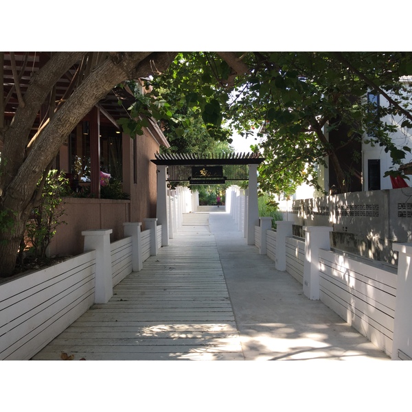 รูปถ่าย ไทย(Thailand) เกาะเสม็ด(Ko Samet) 2014-12 312