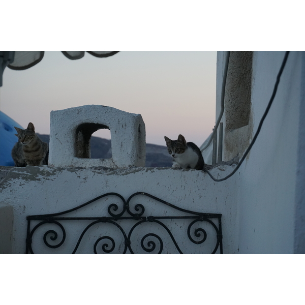 รูปถ่าย กรีก(Greece) ซานโตรินี(Santorini) บ้านถ้ำโอยา(Oia cave house) 2016-07 18