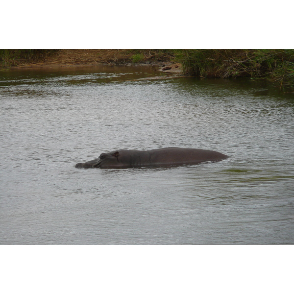 รูปถ่าย แอฟริกาใต้(South Africa) อุทยานแห่งชาติครูเกอร์(Kruger National Park) แม่น้ำซาเบิล(Sable River) 2008-09 72
