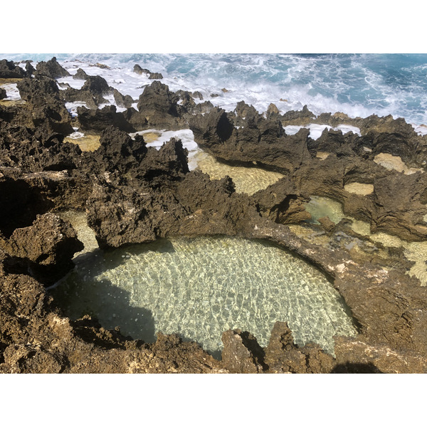 รูปถ่าย กวาเดอลูป(Guadeloupe) แหลมคาสเซิลพอยต์(Castle Point) 2021-02 231