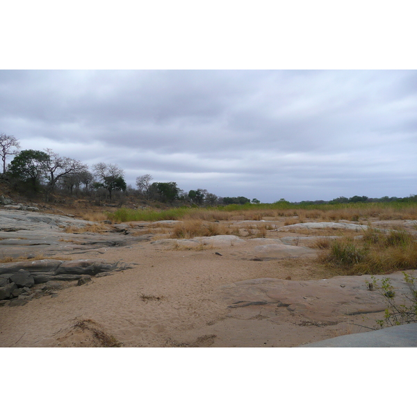 รูปถ่าย แอฟริกาใต้(South Africa) อุทยานแห่งชาติครูเกอร์(Kruger National Park) แม่น้ำซาเบิล(Sable River) 2008-09 19